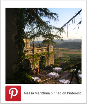 fashion, nail polish, cute pets, quotes, flower arrangements and