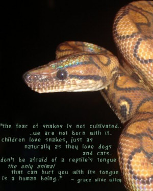 Snake quote photo maharetsquarebox.jpg