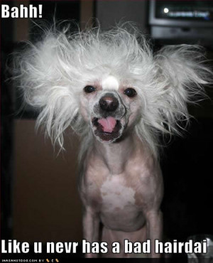 ... seem to have great hair days but even they complain about having