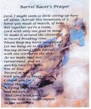 ... my favorite. He is the most loyal dog and is glued to me all the time