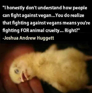 people can fight against vegan....You do realize that fighting against ...
