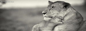 6470-lion-with-her-baby.jpg