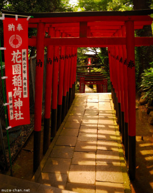 Torii at Gojo Shrine Ueno Park