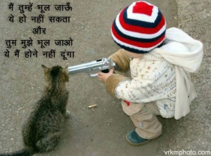 Funny Baby Cats 29 Free Hd Wallpaper