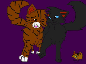 Funny Quotes Contact Us DMCA Notice