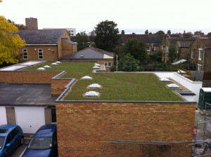 home green roofing single ply domestic flat roofing quote contact