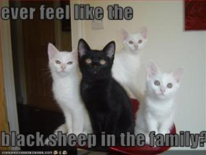 Black Sheep Funny Meme