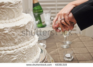 Wedding Cake Feeding