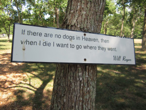 with cool inspirational quotes for dogs nailed onto the trees along ...