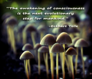 Eckhart Tolle Quote [Still waiting...]