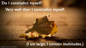 do i contradict myself? very well then i contradict myself; (i am ...