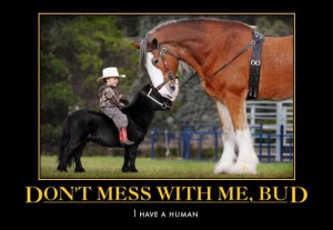 Don’t Mess With Me, I’ve A Human!