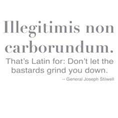 That's Latin for: Don't let the bastards grind you down. More
