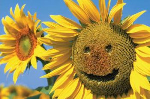 My sunflower Journal page for class