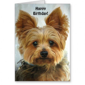 ... cake with name edit free , happy birthday cards funny sayings