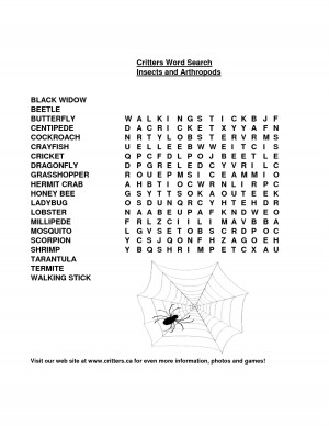 Insect Word Search