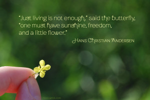 ... Flower quote by Hans Christian Andersen - photo by lostcarrot.com