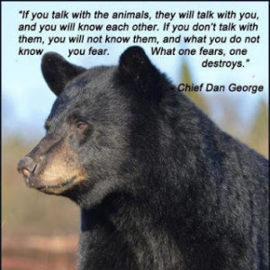 Beautiful Animal Quotes. QuotesGram