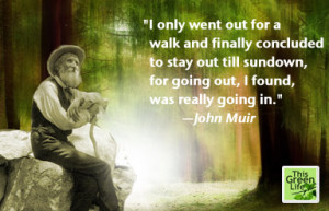 John Muir quote