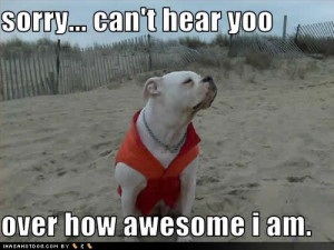 Is there such a thing as a narcissistic dog? Book author Judith Orloff ...