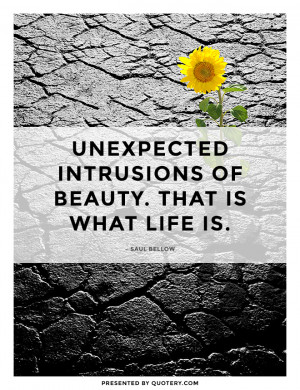 intrusions-of-beauty