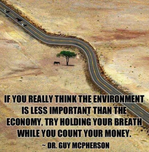 Environment vs economy
