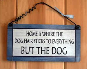 funny dog hair quotes