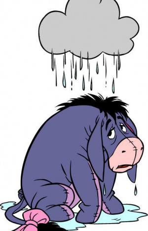 标题:被雨淋的小驴屹耳