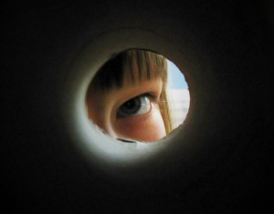 Curiosity Quotes, Sayings and Proverbs