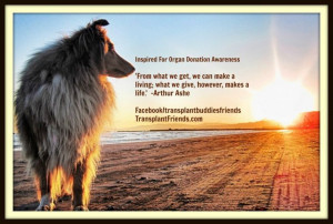 Inspiring Quotes for Organ Donation