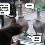 home images funny goose funny goose facebook twitter google+ pinterest ...