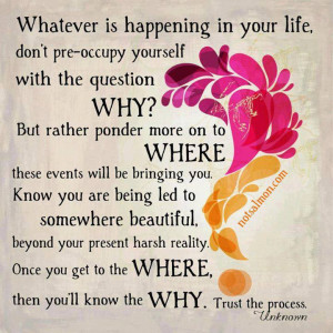 ... once you get to the where then you ll know the why trust the process