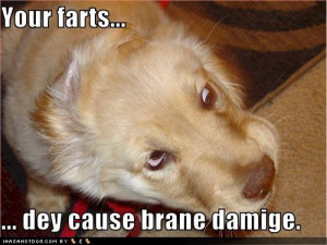 You know, one time I farted so badly that I had to spend 15 years in ...