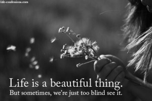 Life is a beautiful thing. But sometimes, we're just too blind see it.