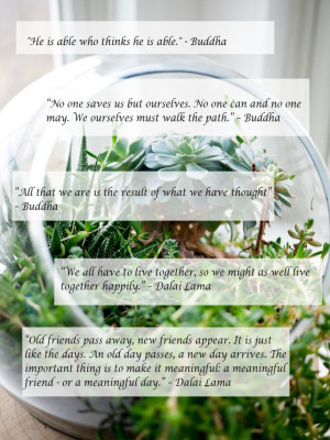 ... Buddhist group. Below are a few quotes from him, as well as Buddha