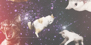 galaxy cats backgrounds tumblr