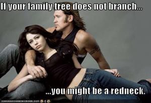 If your family tree does not branch.....You might be a redneck.