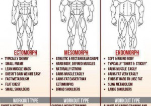 Thread: Which Body Type are You? Ectomorph, Mesomorph, or Endomorph?