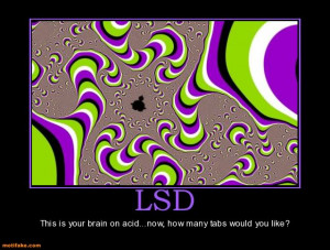 lsd-lsd-acid-drugs-illusions-funny-demotivational-posters-1315170499 ...