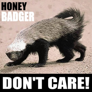 Honey Badger Don't Care Poster!
