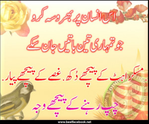 Funny Quotes For Facebook Status In Urdu #10