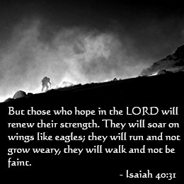 But Those Who Hope In The Lord Will Renew Their Strength - Bible Quote