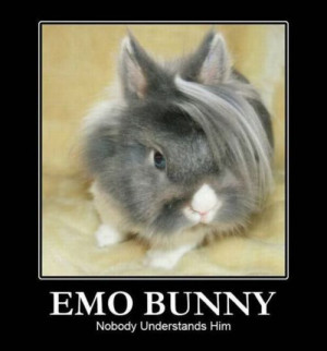 Demotivational Poster - Emo bunny is in a world of pain