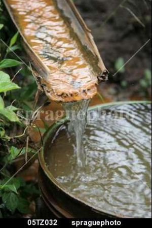 water from a trough beside a water for haiti unsafe for are unsafe ...