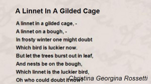 linnet-in-a-gilded-cage.jpg