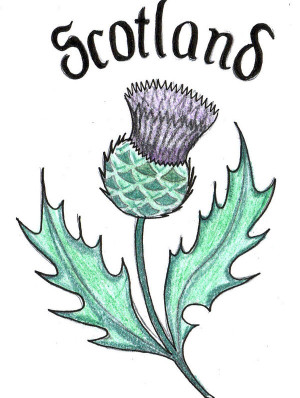 Art Scottish Thistle Design