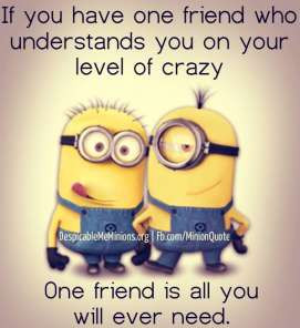 ... friend who understands you on your level of crazy one friend is all