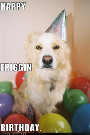 Happy Birthday Images Funny Dog