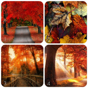 31 Days of Fall Fun {Day 5}: Fall's Best On Pinterest