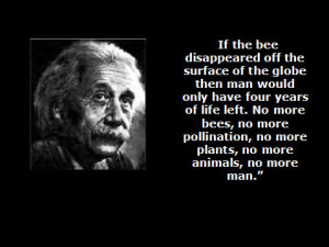 ... we need to do something about the unexplained disappearance of bees